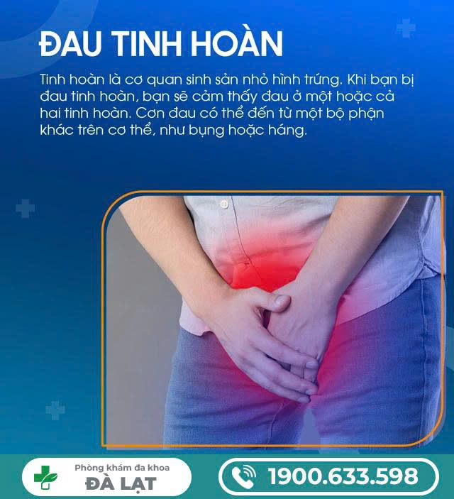 Hình ảnh minh họa